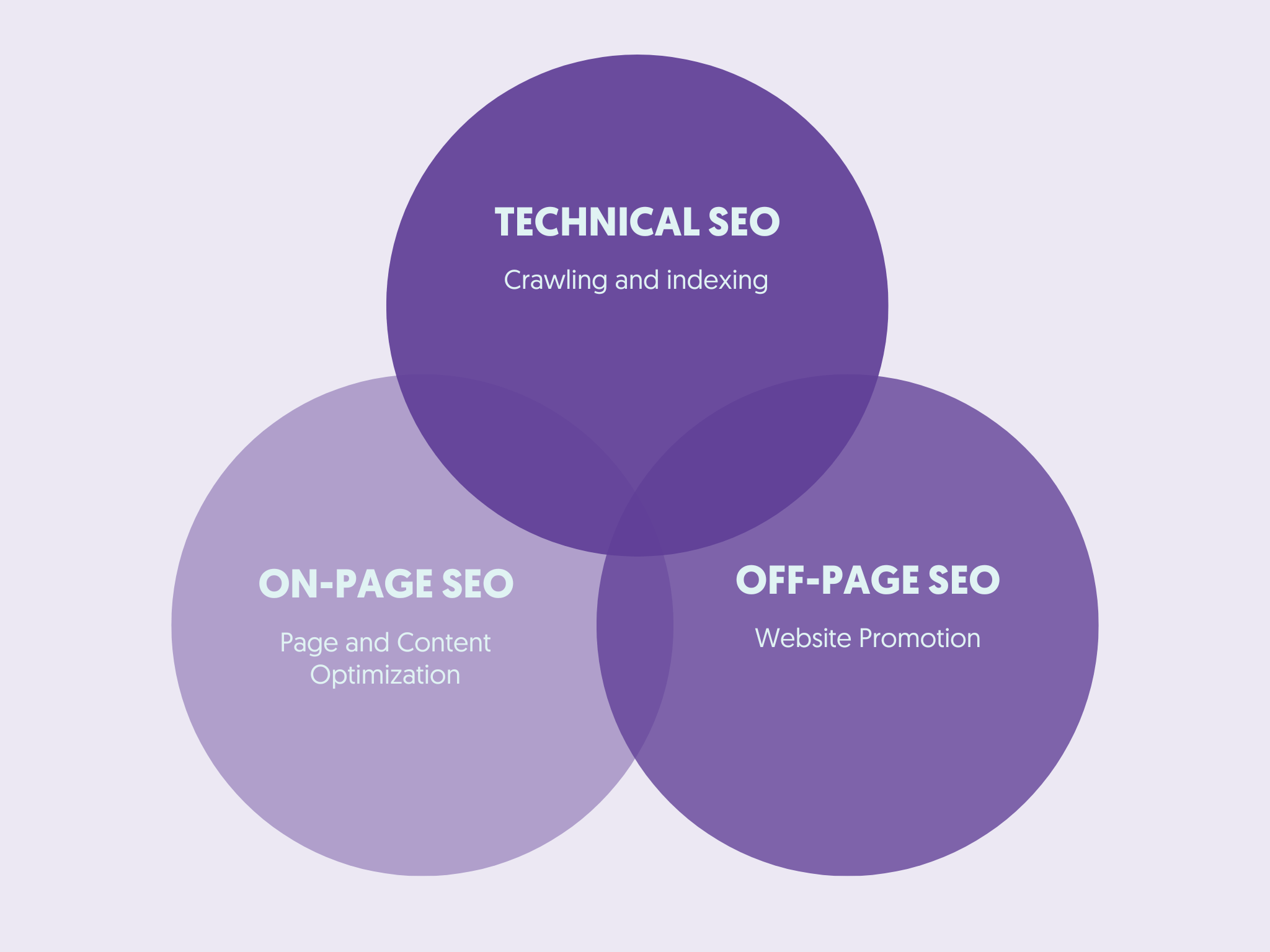 SEO Training